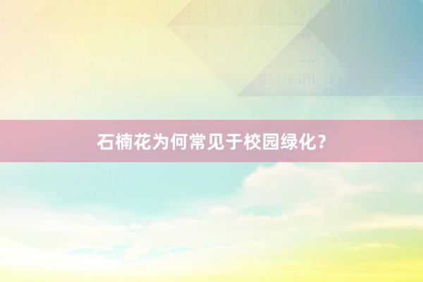 石楠花为何常见于校园绿化？