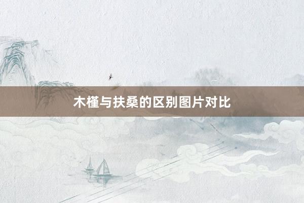 木槿与扶桑的区别图片对比